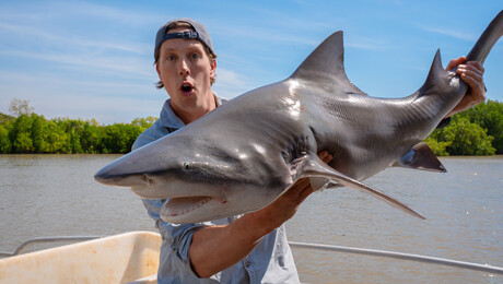 Freeks Wilde Wereld | Haaien in de rivier